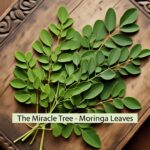 MoringaLeaves